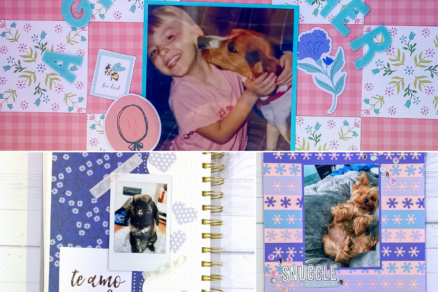 276 Catchy Animal Titles For Scrapbooking Pets